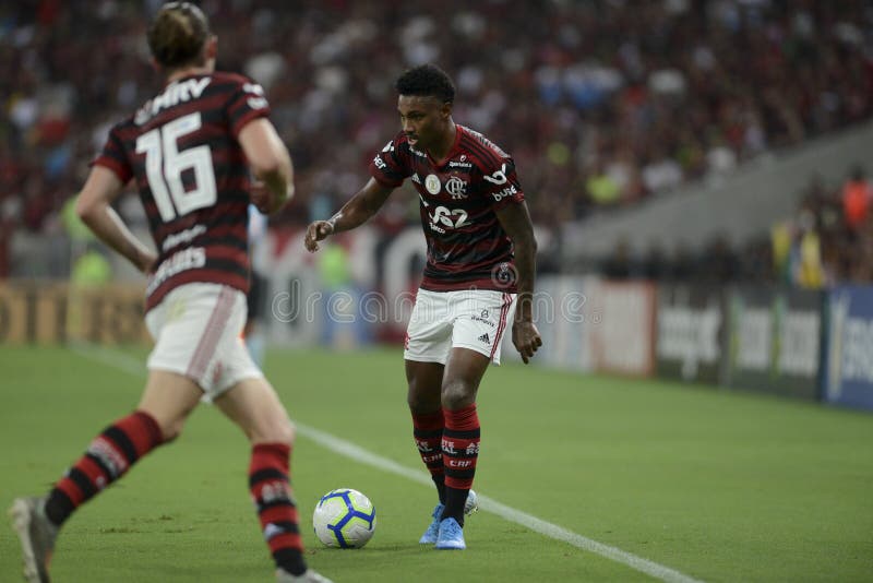 Braziliaans kampioenschap 2019 stock afbeelding Braziliaans kampioenschap 2019 stock afbeelding