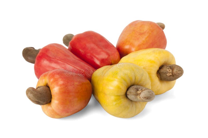 Brazilian Caju Cashew Fruit Stock Photo Image of farmers, apple 39779558