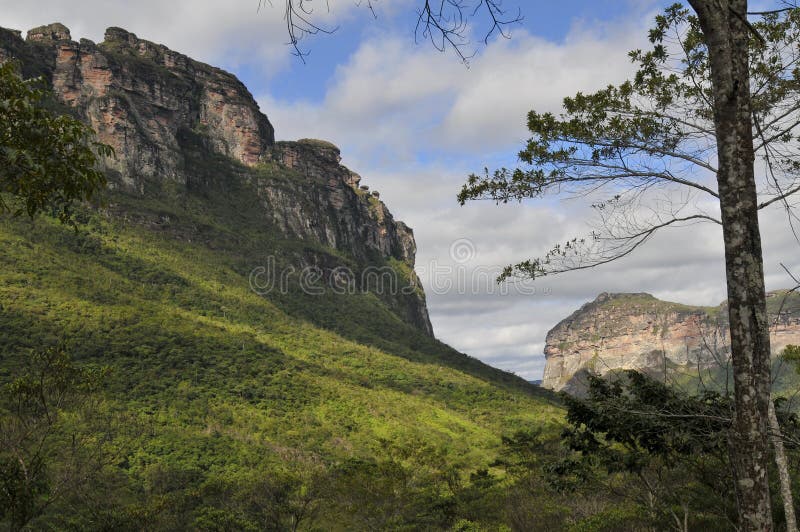 Brazilian Park