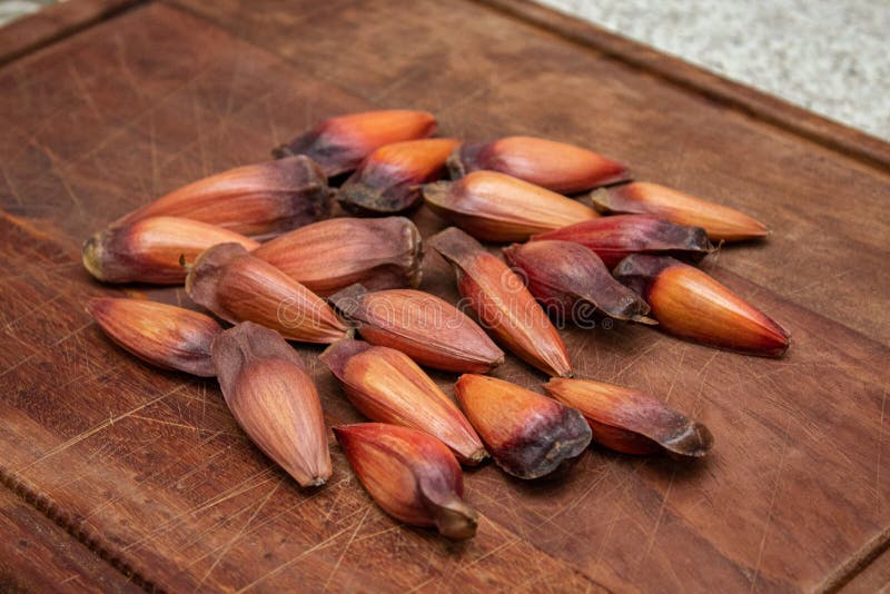 Brazilian Pine Fruit Pinion on Wooden Background Stock Image Image of
