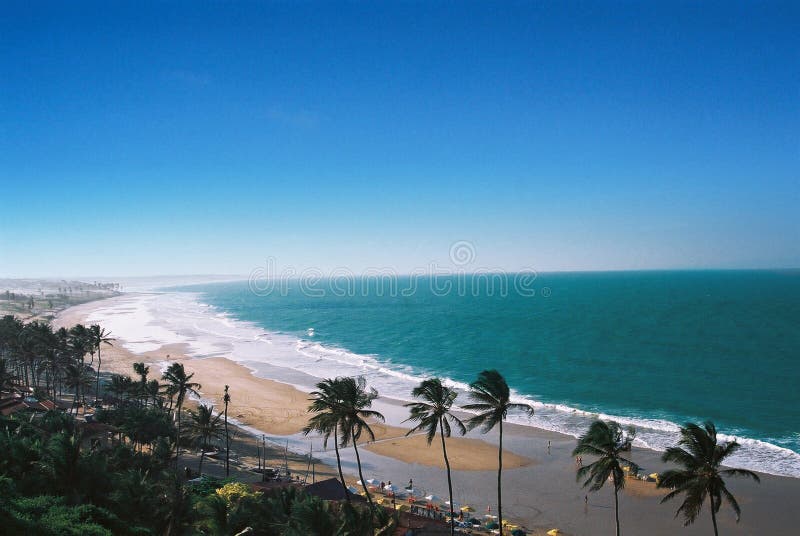brazylijski plażowy tropikalny obrazy stock brazylijski plażowy tropikalny obrazy stock