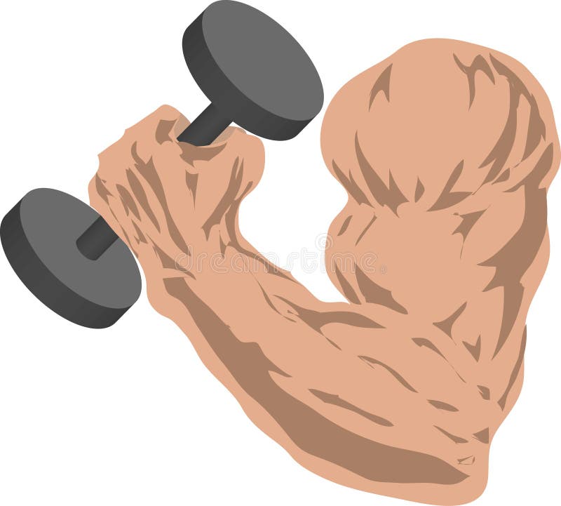 Muscular arm grasping a barbell. Muscular arm grasping a barbell