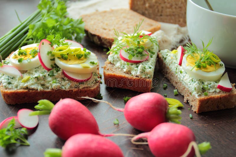 Bread with Cottage Cheese, Boiled Eggs and Radish Stock Image Image