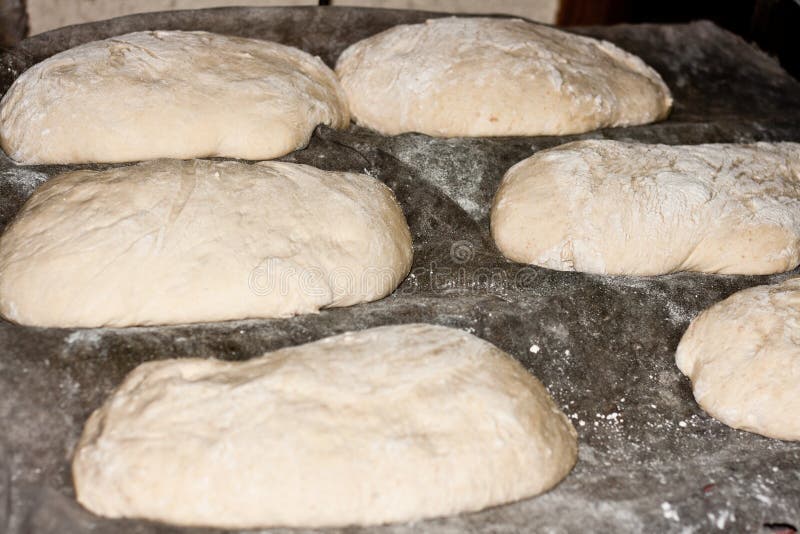 Bread doughs freshly made royalty free stock image