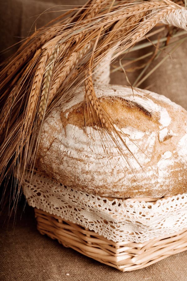 Bread with ears stock photo. Image of beautiful, natural 33549906