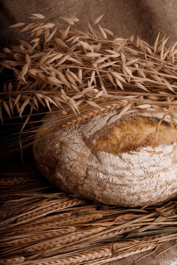 Bread with ears stock photo. Image of crust, morning 33550106