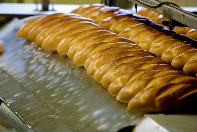 Bread Factory, Production Line Stock Photo Image of meal, tray 24614554