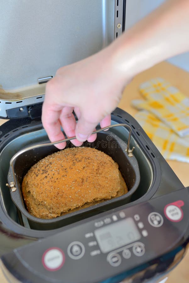 Bread Machine and Fresh Bread at Home Stock Image Image of crusty