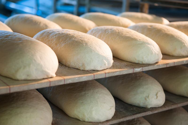 Bread before Placing in Hot Oven Stock Photo Image of factory, white 58471802