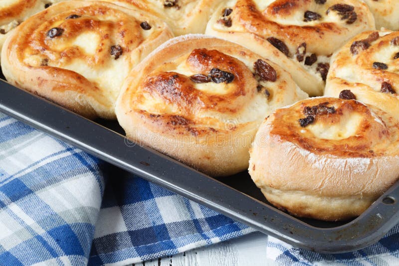 Bread Roll with Raisins and Cottage Cheese Filling Stock Photo Image