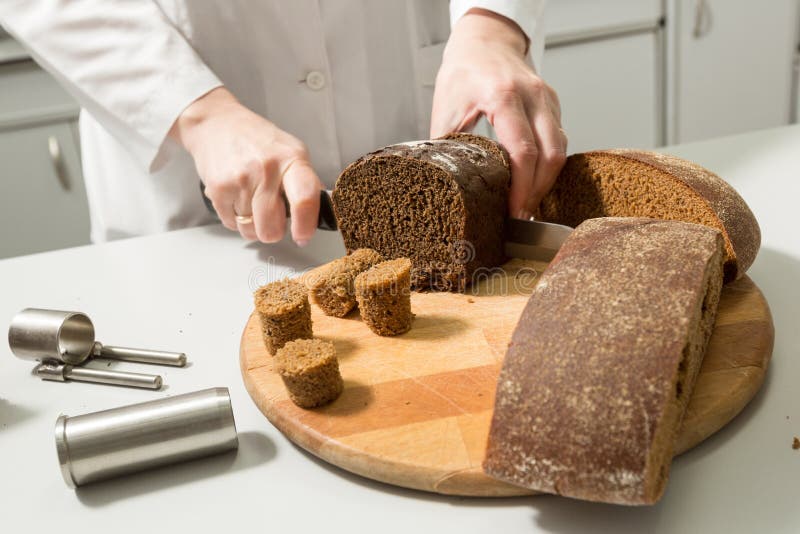 Bread Tests in a Laboratory Stock Image Image of college, manufacture