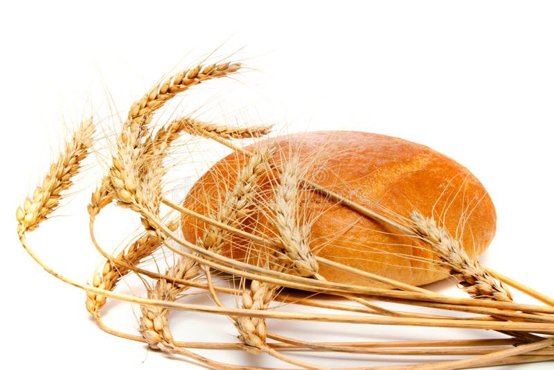 Bread and wheat spikes
