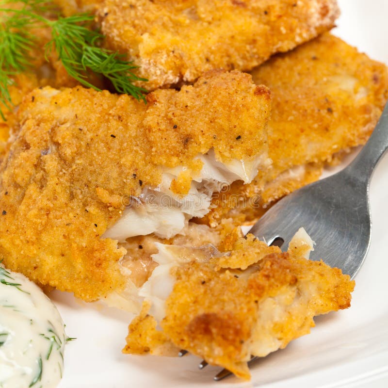 Breaded White Fish Fillets stock photo. Image of catfish 51306454