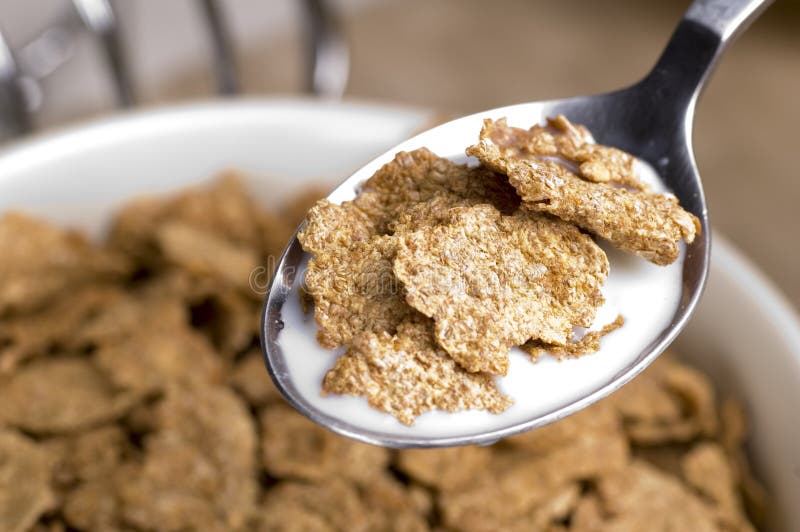 Breakfast Bran Flakes stock photo. Image of food, honey 1155398