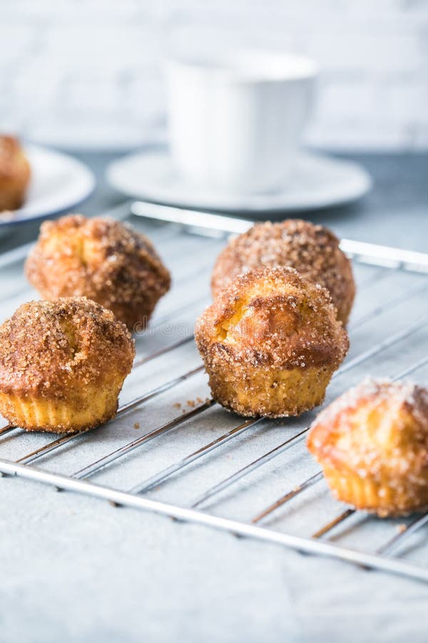 Breakfast Cinnamon Sugar Puffs Stock Image Image of brown, cupcake 217251897
