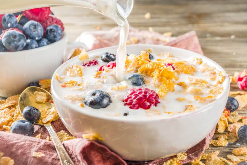 Breakfast Corn Flakes with Milk and Berries Stock Photo Image of meal