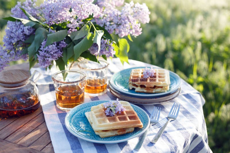 Breakfast in the garden stock photo. Image of shadow - 13329704