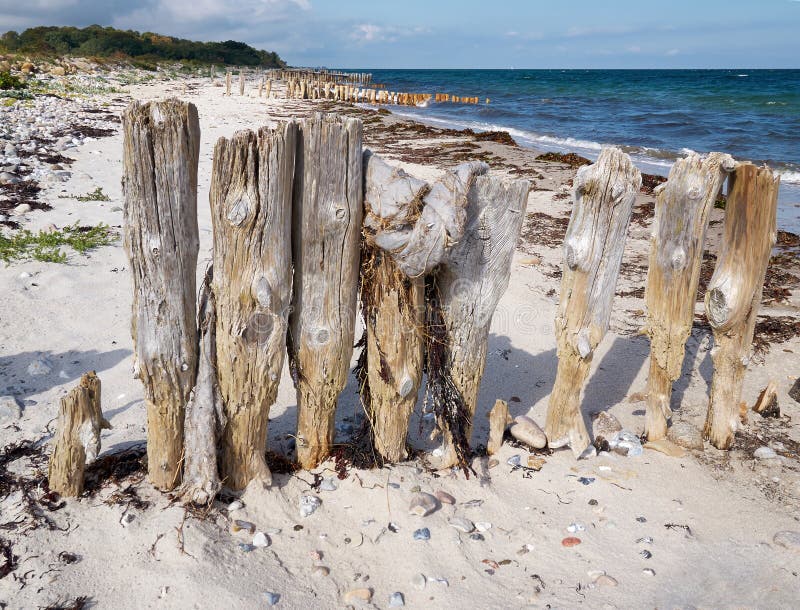 Breakwaters on the beach Funen Denmark