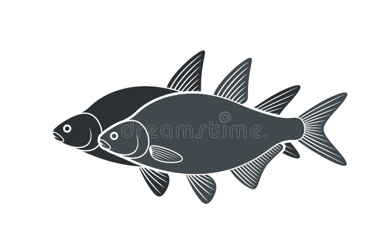 Bream Logo. Isolated Bream on White Background Stock Vector