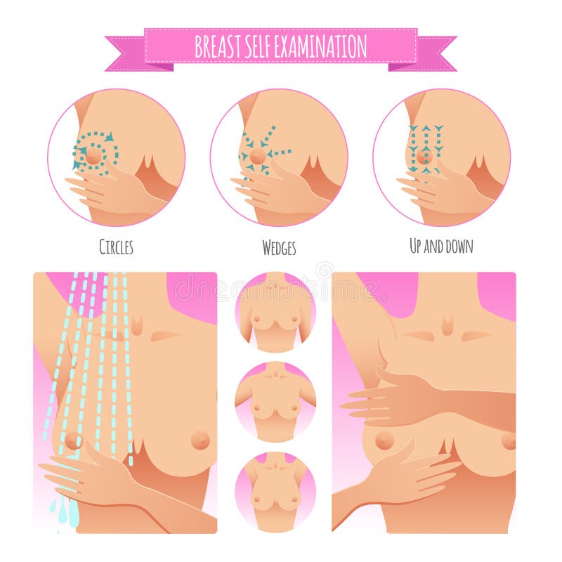 Breast self exam instruction cancer Royalty Free Vector