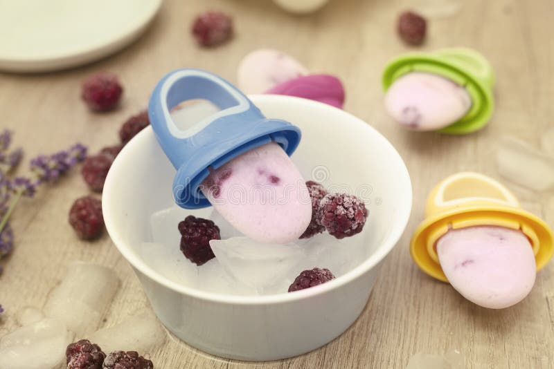Breast Milk Popsicles for Infants Stock Photo Image of dessert, snack 74449414