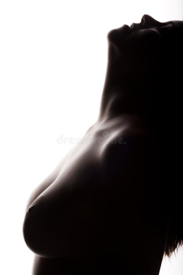 Breast silhouette stock photo. Image of undress, boobs - 14070474