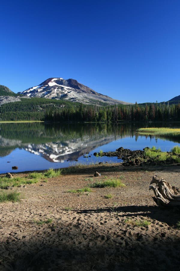 A Breath of Fresh Air royalty free stock images