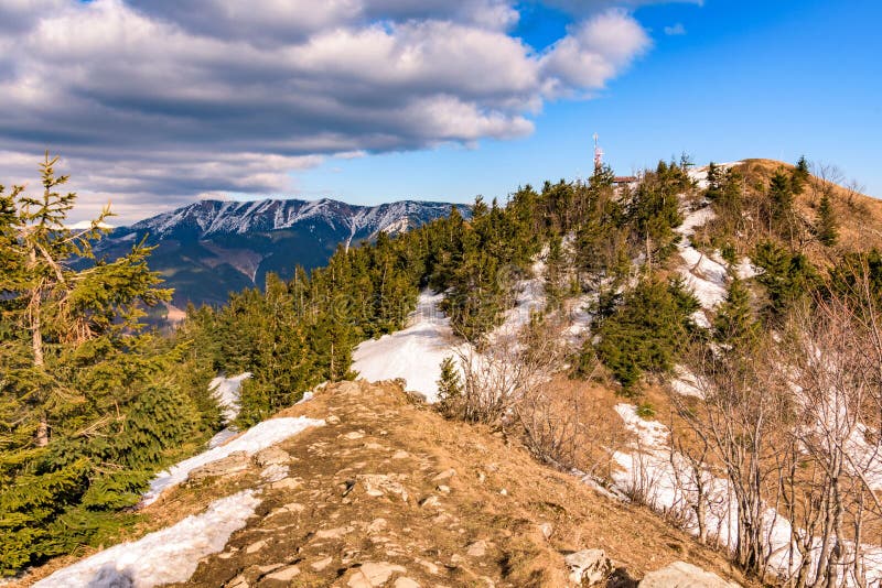 Úchvatná hornatá krajina s jehličnany mezi Velkou Fatrou a Nízkými Tatrami, Slovensko