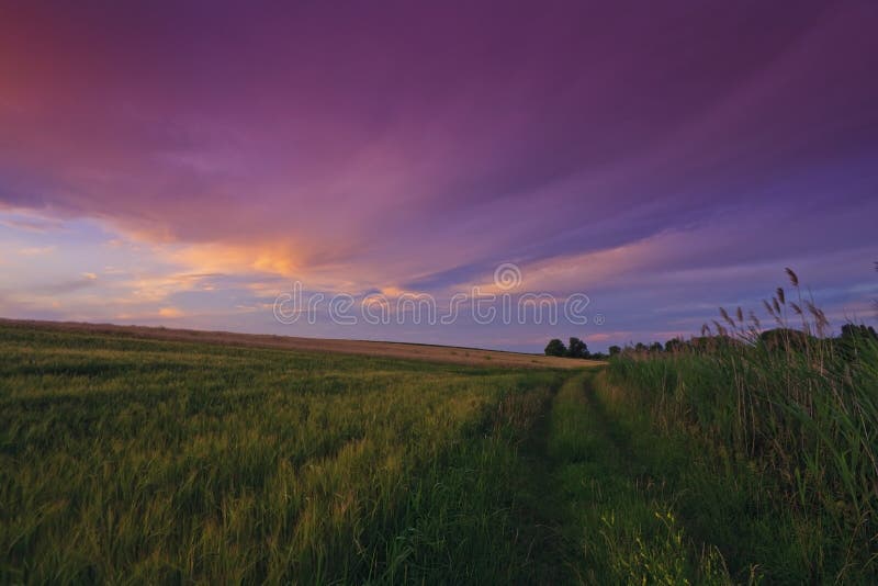 Breathtaking red sunset and twilight over field