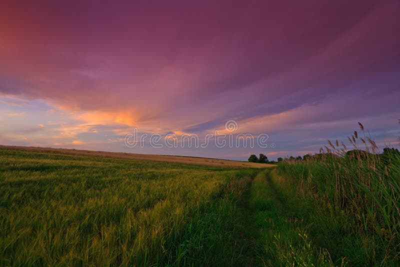 Breathtaking red sunset and twilight over field