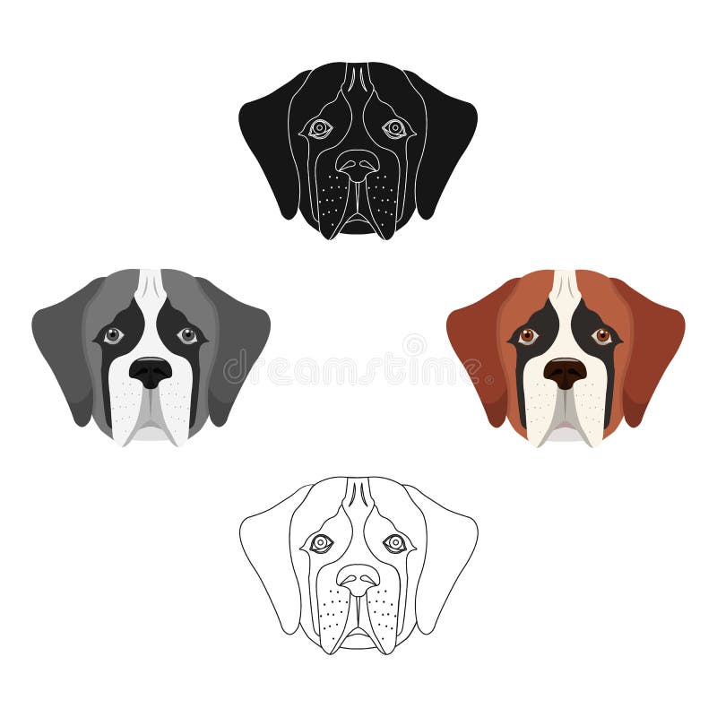 st bernard muzzle