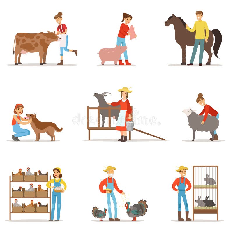 Breeding Animals Farmland. Farm Profession Worker People Breeding Livestock  Stock Vector - Illustration of animal, grazing: 91345930