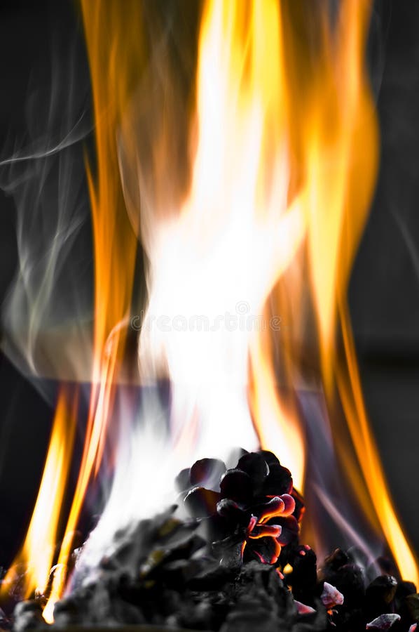 Brennende Kiefernzapfen lizenzfreies stockbild