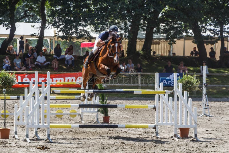 Homem E Cavalo Pulando Uma Cerca Foto de Stock - Imagem de sela, animal:  247580984