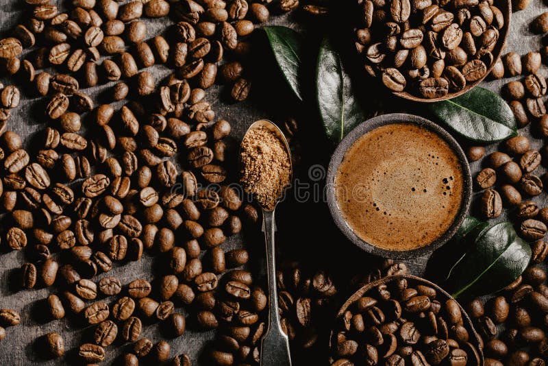 Brewed Black Coffee And Beans In Arrangement Stock Image Image Of brewed-black-coffee-and-beans-in-arrangement-stock-image-image-of