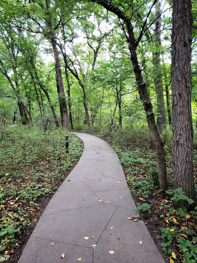 A Brick Path Winding through the Woods in the Fall Season. Stock Image