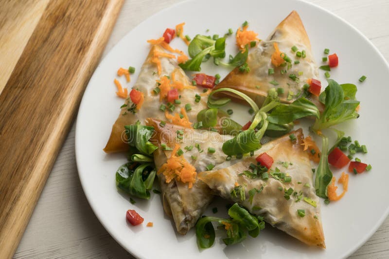Brick triangles filled with meat and eggplant. stock photos