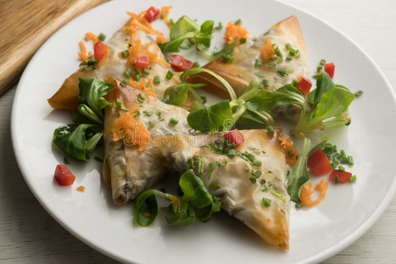 Brick triangles filled with meat and eggplant. stock image