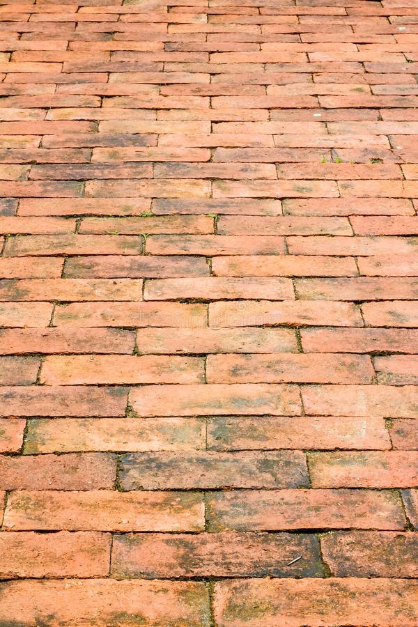 Brick walk way in garden as background royalty free stock photo