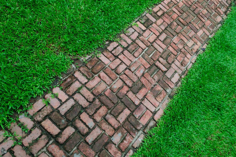 Brick walk way on the green field background royalty free stock photo