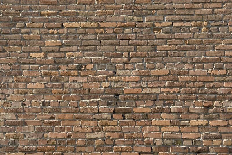 Brick Wall for background