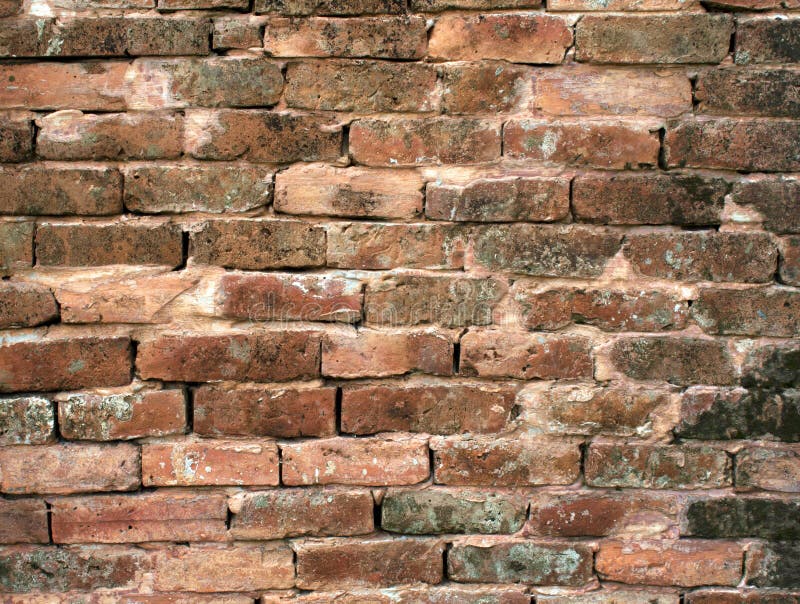 Brick wall blocks stock image. Image of wall, dirty, seamless 57013713