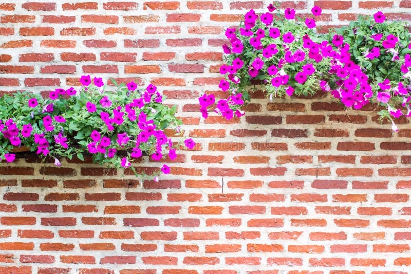 Brick Wall with Flowers stock image. Image of nature 45799361