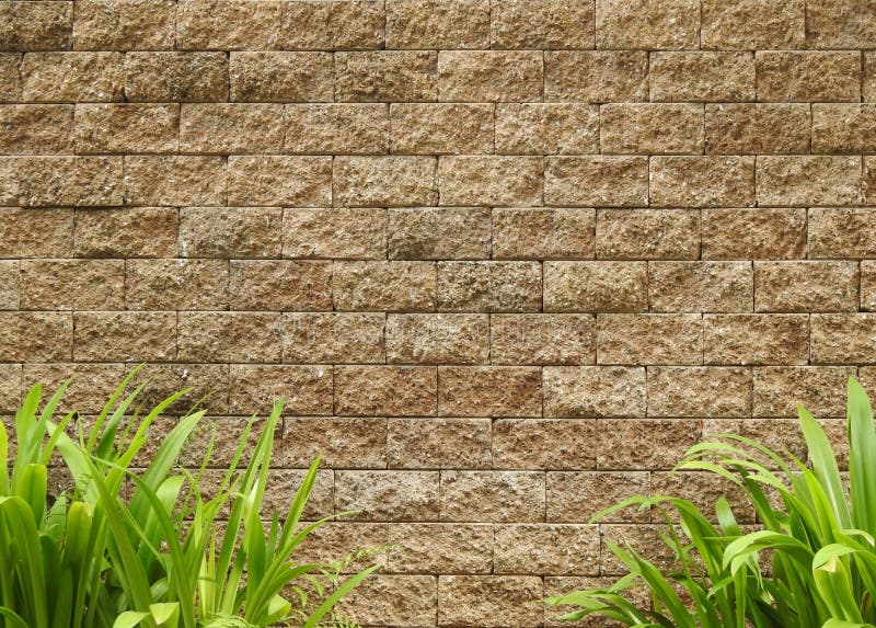 Green Outdoor Plants On Brown Brick Wall Picture. Image 82983112