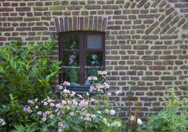 Brick Wall with Windows and Flower Boxes with Flowering Plants Stock