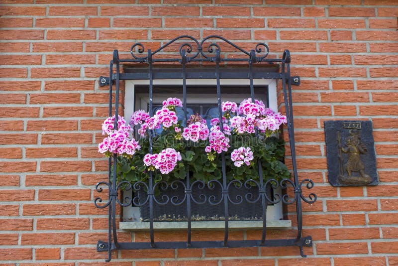 Brick Wall with Windows and Flower Boxes with Flowering Plants Stock