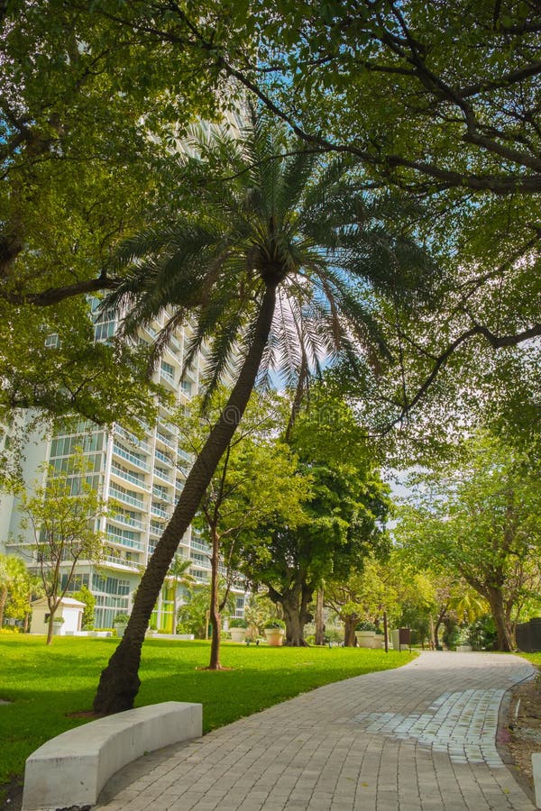 Brickell Park stock image. Image of brickell, tree, lawn 29653241