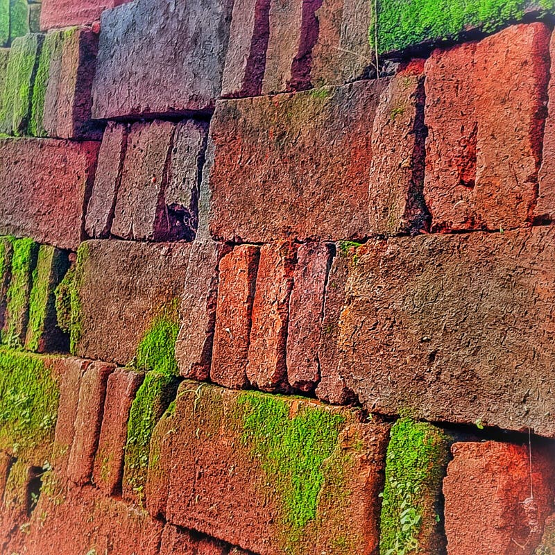 Bricks covered in moss royalty free stock photography