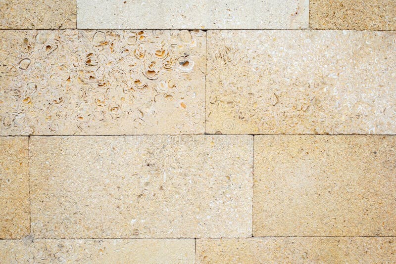 Brickwork of a Shell Rock. Stone Porous Texture with Splashes of Shell