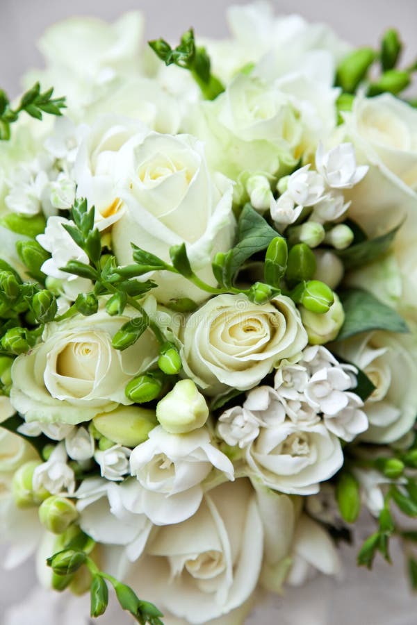 Wedding bouquet stock image. Image of green, wedding, bench - 6370989